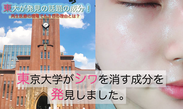 toudai