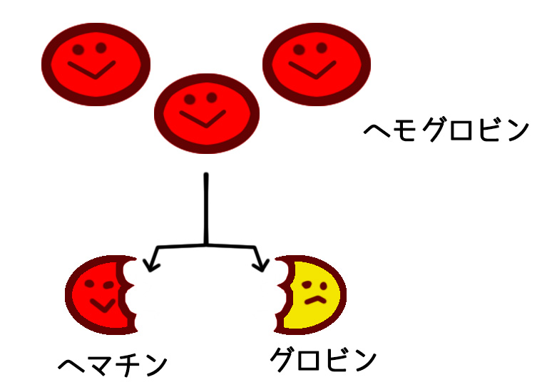 hematinn